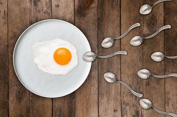 The winner takes it all...