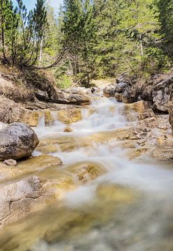Frühlingshafte Berglandschaft im Wettersteingebirge mit grünen Wiesen und markanten Gipfeln. von Miriam Schwarzfischer Fotografie