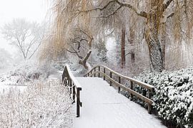 Brug Broersepark in winter