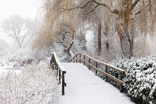 Brug Broersepark in winter