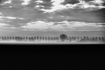 Ochtend Mist 2 - Nieuw-Vennep 