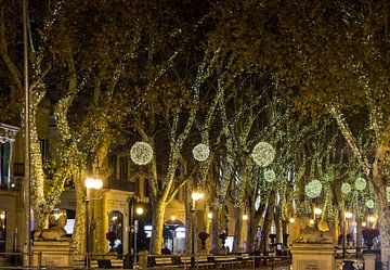 Palma, Passeig des born verlicht met Kerstmis van Alex Winter