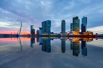 Rotterdam, avec le pont Erasmus (aux Pays-Bas) sur Nele Mispelon