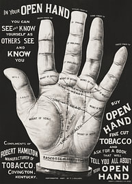Offene Hand, Handlesen (um 1900) von Timeless Artworks