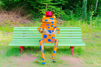 Ein intelligenter Frosch