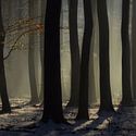 Mist