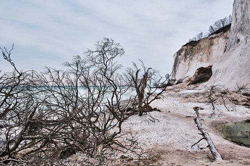 Site du patrimoine mondial de Møns Klint 5