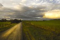 lumière sur la route par marleen brauers Aperçu