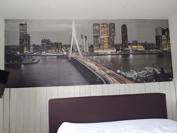 Skyline Rotterdam by Night  - Rotterdams Finest !  