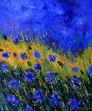 The summer blue cornflowers by pol ledent