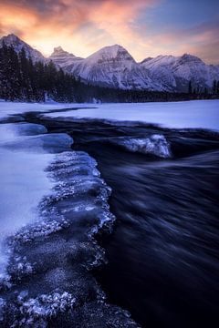 Een winterse zonsopgang in de Rocky Mountains van Daniel Gastager