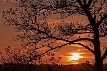 Silhouetten in de gloed van de avondzon van Ilona Water