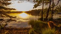 Setting sun