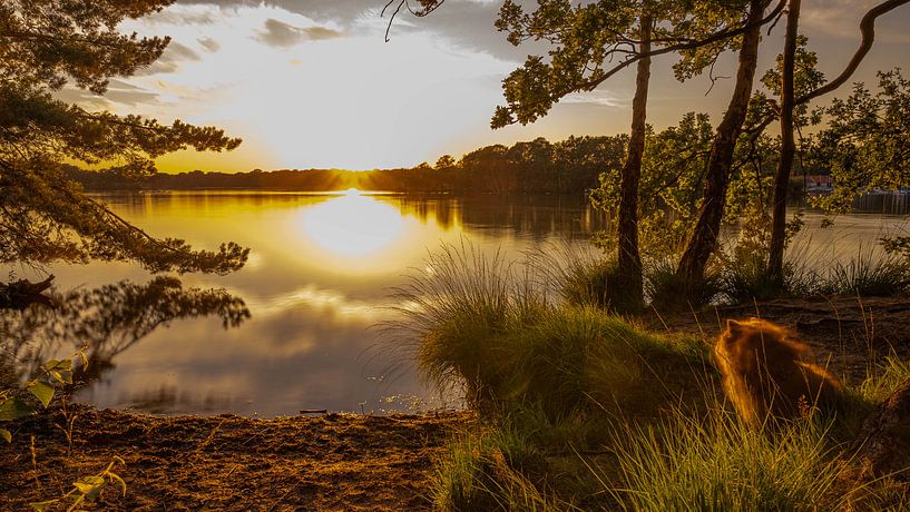 Setting sun by Kim Jansen