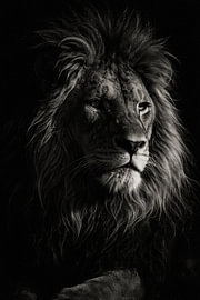 Black-and-white portrait of a lion – timeless power in dramatic light by Design Wall Arts