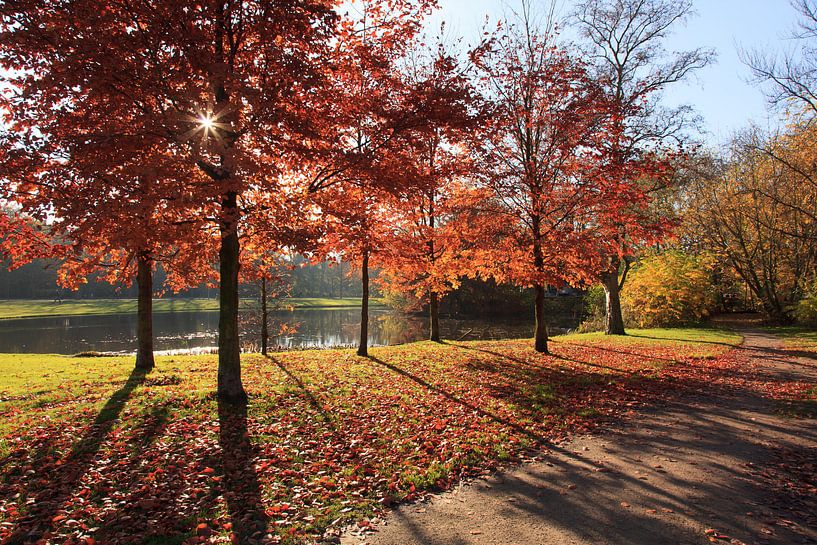 Herfst in het Vondelpark van Mariette Kapitein