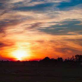 Abendliches Glühen im Beemster von Jan van der Knaap