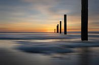 Sunset Noordwijkerhout by Peter Bartelings thumbnail