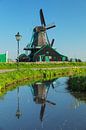 Windmolen in het voorjaar, Noord-Holland, Nederland van Markus Lange thumbnail