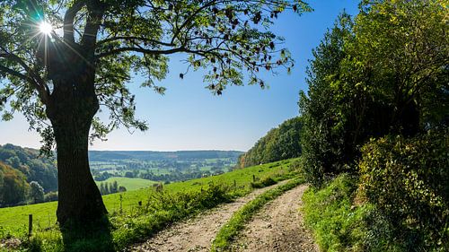 landweg richting "De Plank" in de Voerstreek 