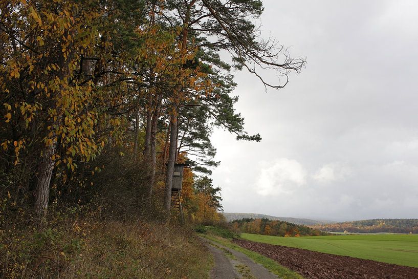 Blick in Richtung Kreuzberg in der Rhön im Herbst von Martin Flechsig