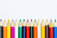 Coloured pencils in a row on a white background