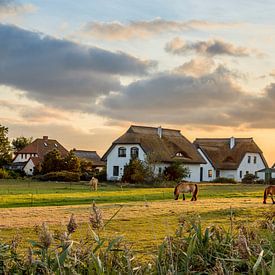 Sunset on Hiddensee by Panorama-Rundblick