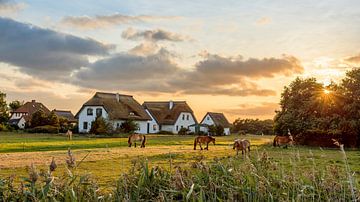 Sonnenuntergang auf Hiddensee von Panorama-Rundblick