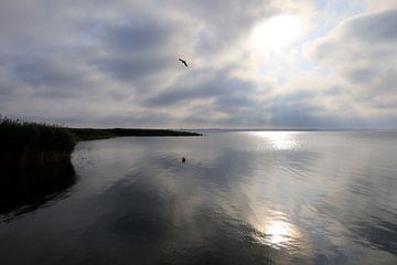 Usedom, Achterwasser van Thomas Jäger