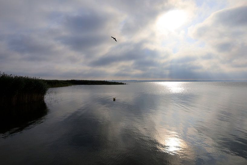 Usedom, Achterwasser by Thomas Jäger