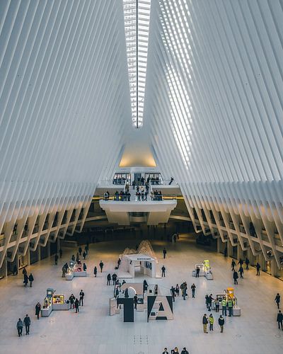 The Oculus NY