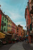 Schöne Straße mit bunten Häusern in Manarola, Cinque Terre, Italien