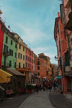 Mooie straat met gekleurde huisjes in Manarola, Cinque Terre, Italië van Shania Lam