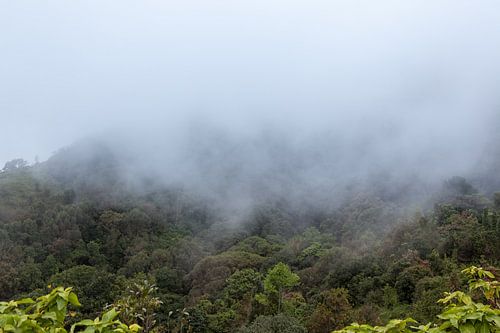 Mist trekt over de bergen