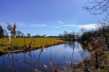 Vintage natuurlandschap in Nederlands Limburg van Kristof Leffelaer