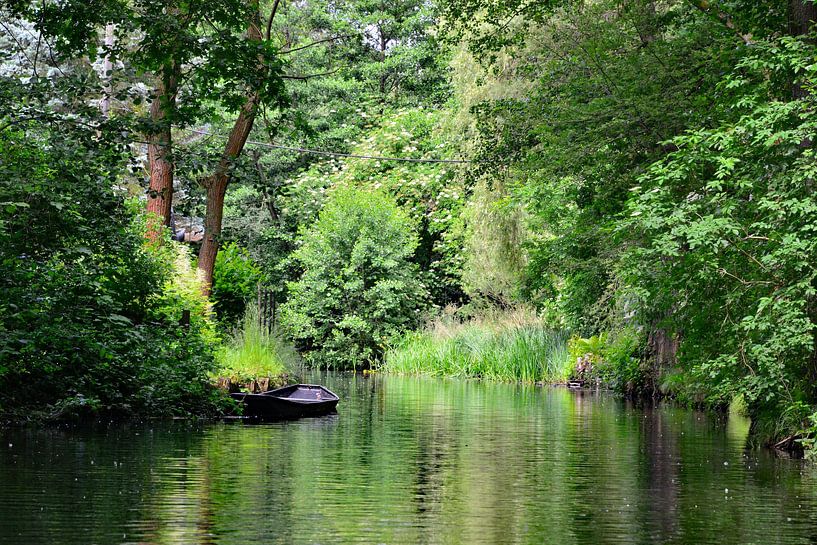 Kahn im Spreewald 4.0 von Ingo Laue