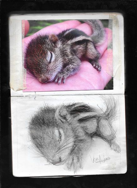 HAMSTER BABY by Vincent Jacobs