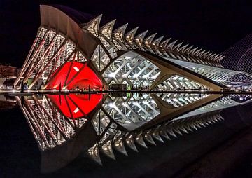 Ciudad de las Artes y Ciencias, Valencia 5 van Grafiekus