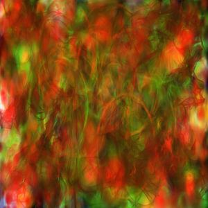 Kosmisches Chaos X