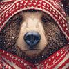 Ours avec bonnet tricoté Portrait d'hiver en détail sur Eva Lee