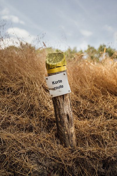 Short Route by Auke Hamers