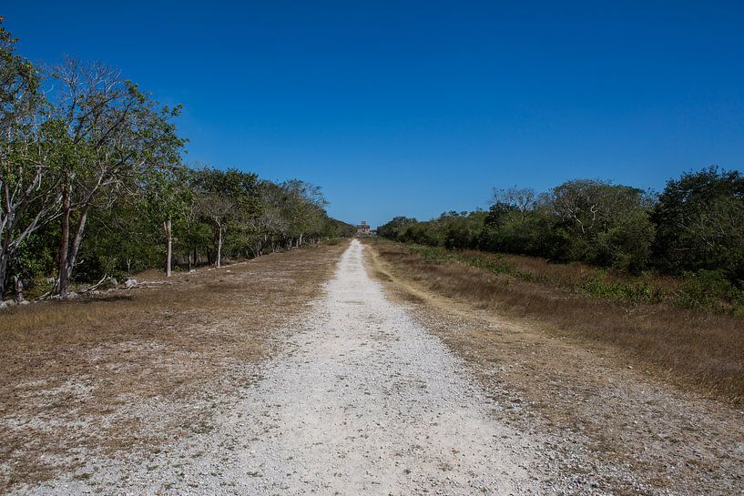 Sacbe of 'witte weg' bij de Mayaruines van Dzibilchaltun, Mexico by Wouter Van de Kamp
