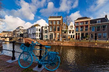 View on Schiedam, netherlands by Adelheid Smitt