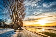 Winter landscape with tree and snow and cloud formation at sunset on the Rhine near Düsseldorf by Dieter Walther thumbnail