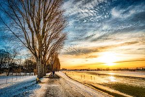 Winterlandschaft mit Baum und Schnee und Wolkenformation bei Sonnenuntergang am Rhein bei Düsseldorf