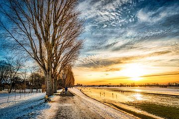 Winter landscape with tree and snow and cloud formation at sunset on the Rhine near Düsseldorf by Dieter Walther
