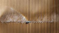 Irrigation of arable land Hoeksche Waard
