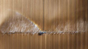 Irrigation of arable land Hoeksche Waard by Vivo Fotografie