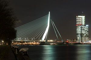 Erasmusbrücke Rotterdam von Rogier Vermeulen
