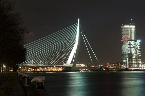 Erasmus bridge Rotterdam